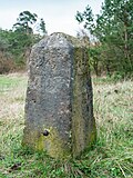 Saxon-Prussian boundary stone: Pilar No. 205 (individual monument for ID No. 09305644)