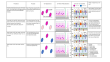 Gram Stain Interpretation Chart