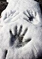 Hand Marks on Snow (16872317655).jpg