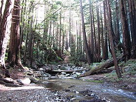 Limekiln State Park