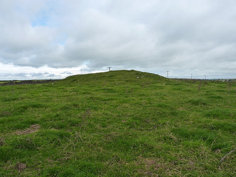 File:Hawks Low tumulus (geograph 3130646).jpg