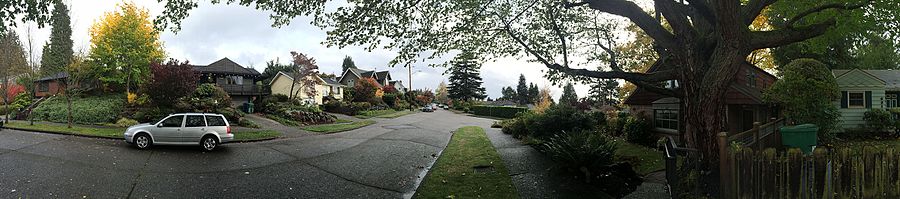 The Hawthorne Hills neighborhood on an overcast day Hawthorne Hills neighborhood, Seattle .jpg
