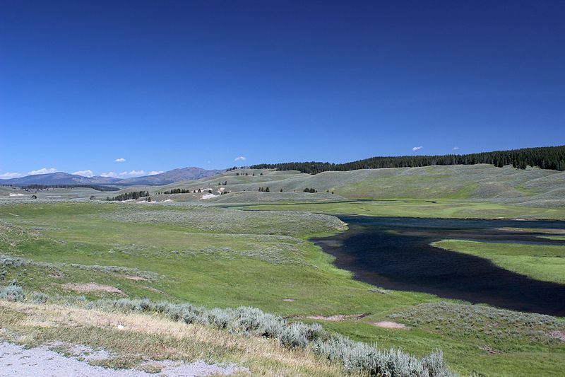 File:Hayden Valley 02.JPG