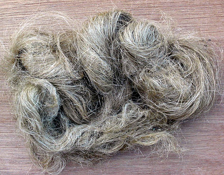 Hemp fiber, once extensively used for the cloths by the commoners, today is rarely used as a fabric.