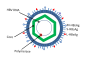 Hepatitis B virus v2 (3).svg