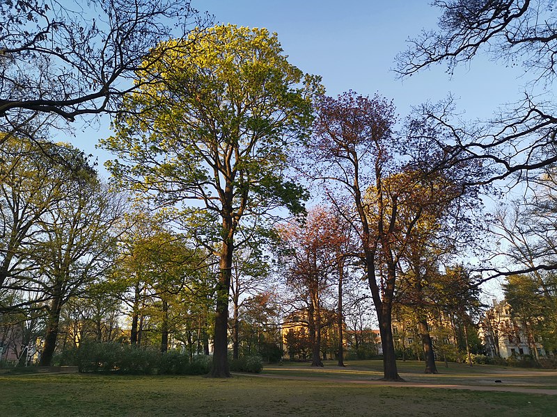 File:Hermann Seidel Park Dresden 2020-04-19 .jpg