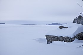 Kuvaava artikkeli Höytiäinen