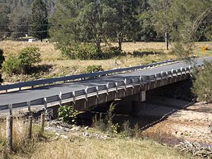 Asfalt taşıma yolu yüzeyine ve çelik yan korkuluklara sahip düşük ayarlanmış beton kiriş ve kirişli köprü.