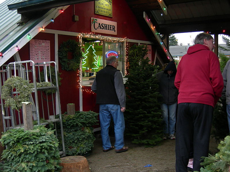 File:Hunter's Tree Farm - cashier shack 01.jpg