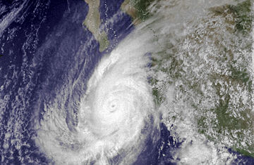 Hurricane Liza (1976) Colored.jpg