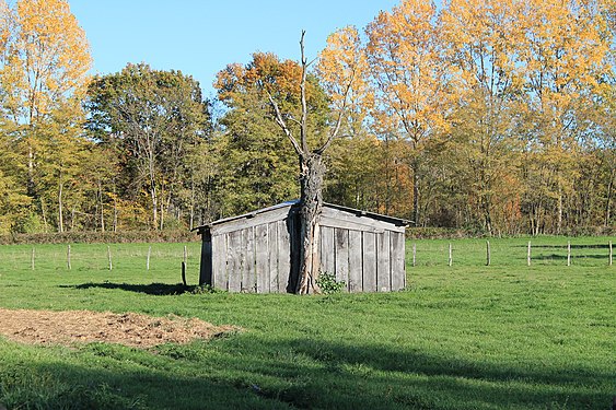 A hut seen in autumn season, France