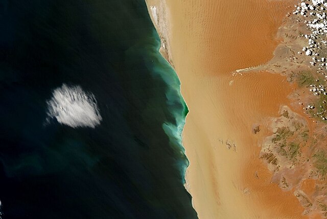 A hydrogen sulfide bloom (green) stretching for about 150km along the coast of Namibia. As oxygen-poor water reaches the coast, bacteria in the organi