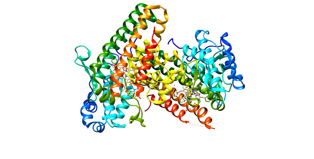 Indoleamine 2,3-dioxygenase