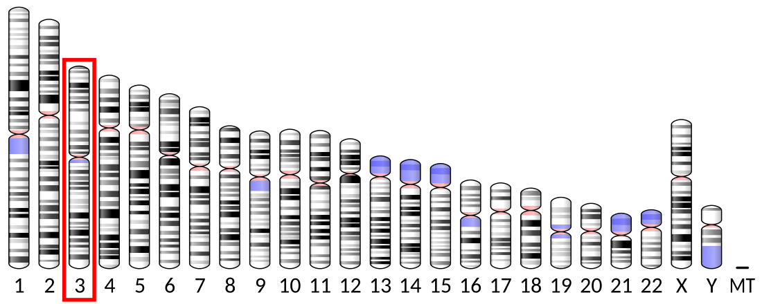 Sodium-coupled neutral amino acid transporter 3