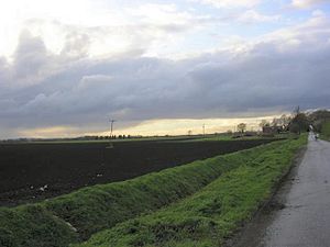 Flat ploughed field under a grey sky