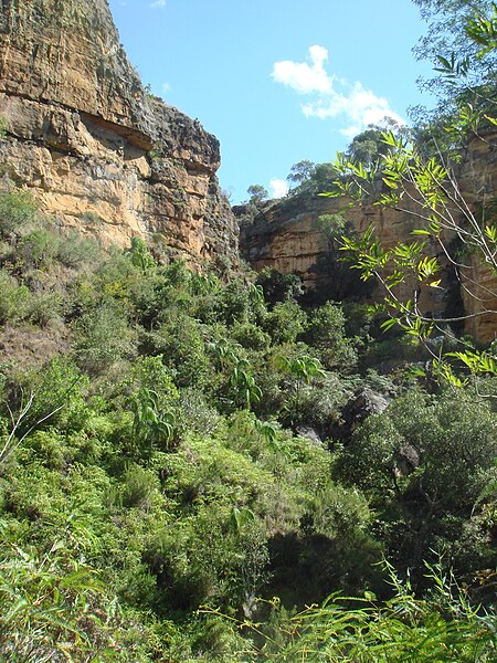 File:Isalo National Park 41.jpg