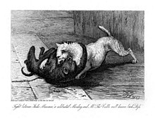 Fight between Jacko Maccacco a celebrated Monkey and Mr Tho. Cribbs well known bitch Puss by Thomas Landseer, 1825 etching from an earlier sketch by the artist. Jacco4.jpg