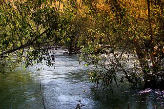 <span class="mw-page-title-main">Jakham River</span> River