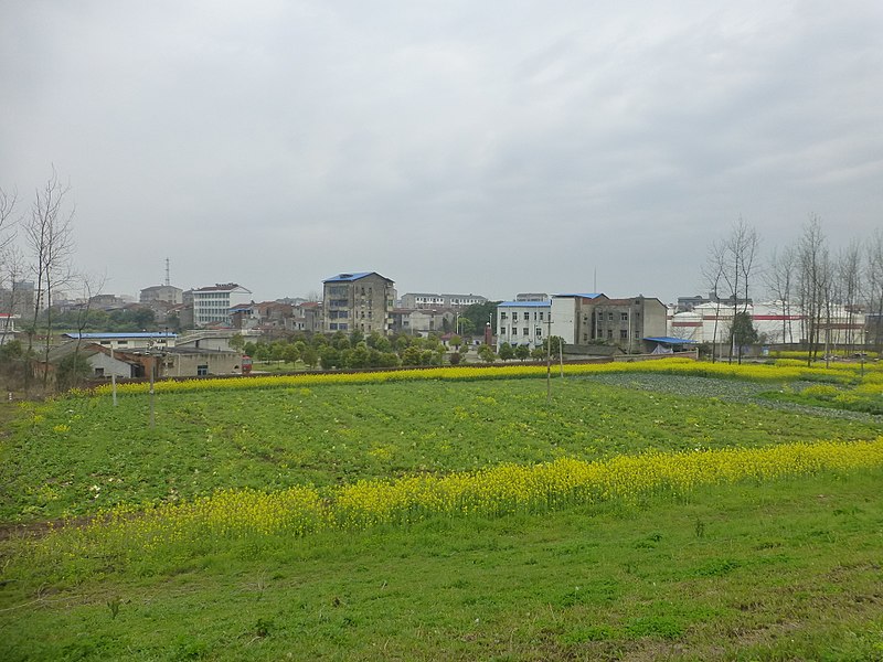 File:Jiayu County - Panjiawan - on the Yangtze embankment - P1540268.JPG