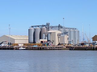 <span class="mw-page-title-main">King's Lynn Docks</span> Port in England