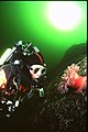 Kiss rebreather testing 12.jpg