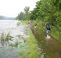 Überfluteter Weg an der Moldau in Klecany, 27. Juni 2009