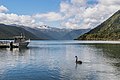 * Nomination Lake Rotoroa in Nelson Lakes NP, South Island of New Zealand. --Tournasol7 05:53, 13 September 2019 (UTC) * Promotion  Support Good quality. --Manfred Kuzel 10:00, 13 September 2019 (UTC)
