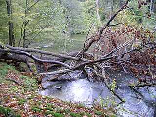 <span class="mw-page-title-main">Łyna (river)</span> River in Poland, Russia