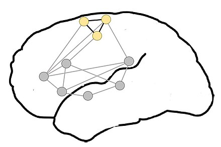Proposed organization of motor-semantic neural circuits for action language comprehension. Adapted from Shebani et al. (2013)