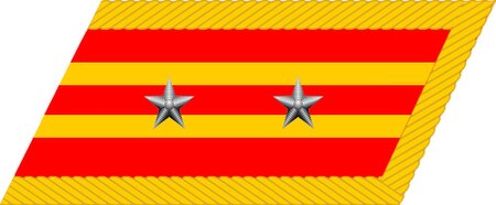 ไฟล์:Lieutenant_Colonel_collar_insignia_(PRC).jpg