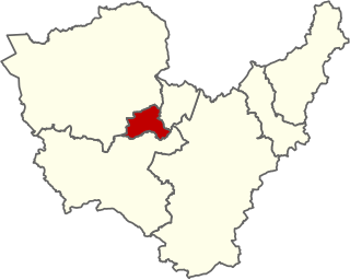 <span class="mw-page-title-main">Lisburn South (District Electoral Area)</span> District electoral area in Northern Ireland