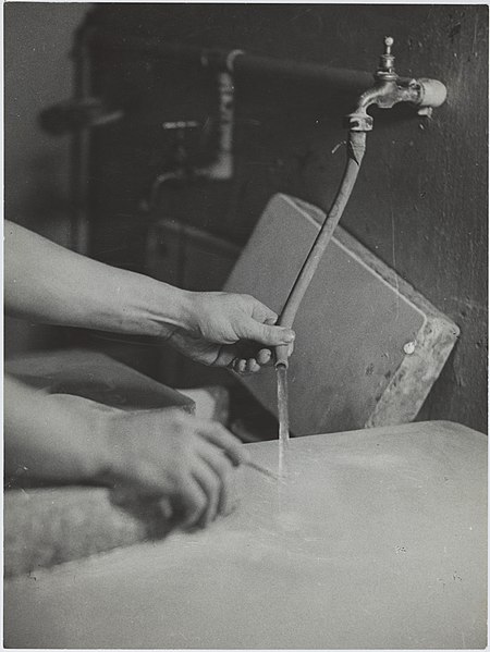 File:Litografian painolaattojen pesu, työskentelyä graafisen taiteen osastolla, 1930-luku. Taideteollisuuskeskuskoulun opetustilanteita.-TaiKV-09-012.jpg