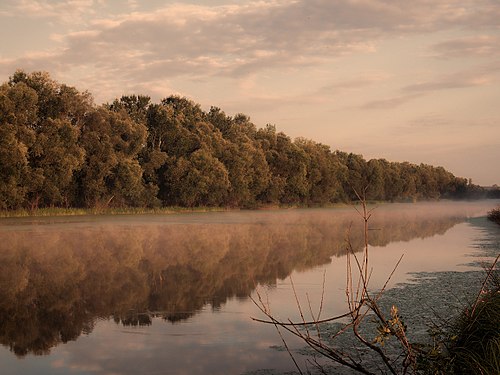 Nature Park Lonjsko Polje Photograph: Zok62