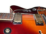 Tortoise pickguard on Epiphone Emperor "Joe Pass" with a signature and logo Lucie-p1020741.jpg