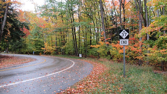 Northern terminus of M-37 just before Old Mission Point