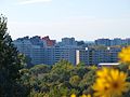 Maerkisches Viertel von Luebars aus.JPG