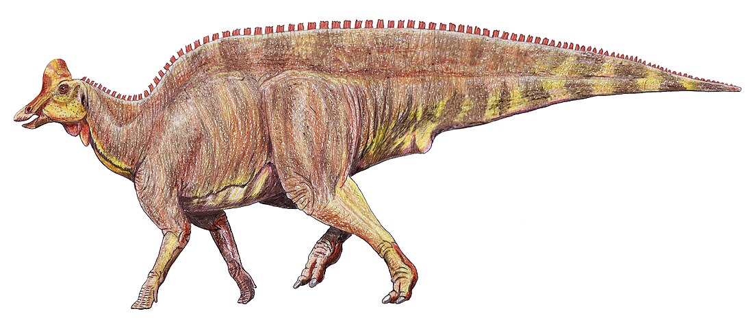 Lambeosaurinae