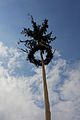 Deutsch: Maibaum (FIchte)