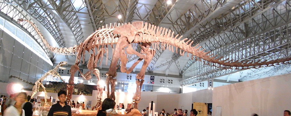 Mamenchisaurus Japan.jpg