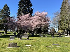 Lake View Cemetery