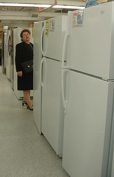 File:Maze of fridges.jpg