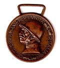 Thumbnail for Commemorative Medal for the Italo-Austrian War 1915–1918