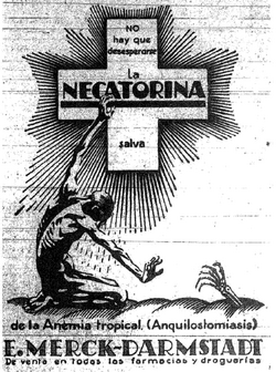 Merck Necatorina.png