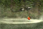 Miniatura para Sistema Bambi bucket