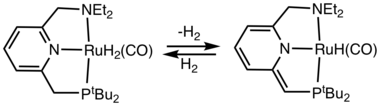 Reaction of H2 with a "Milstein catalyst" used for the dehydrocoupling of alcohols and amines. MilsteinCat.png