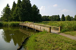 Mizumoto-koen 001, Katsushika, Tokyo.JPG