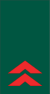 Mozambique-Army-OR-5.svg 