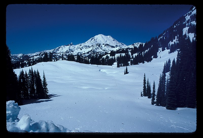 File:Mt Rainier under snow from Naches Peak trail. 61984. slide (e5a044be70bc48749df8f562e3d243af).jpg