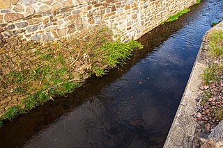 Münzbach (river) River in Germany