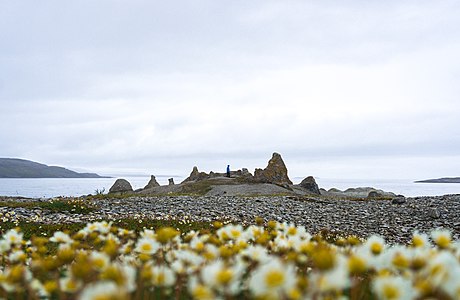 Stalloane i Trollholmsund (Gearretnjárga). Fotograf: Auglanda